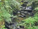 Torrent walk