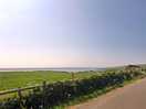 View from site