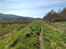 Wonderful walks