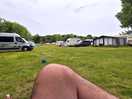 Knee