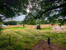 Camping swing