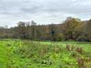 Walk in the country