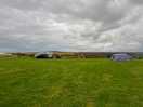 View of wild field
