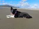 Two beaches, fairbourne and barmouth, just a 20 minute drive away.