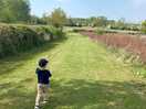 Walk to picnic area/ canal