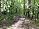 Walk to pub