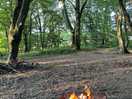 Fire pit