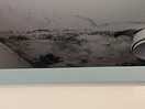 Ladies toilet causing damp smell door has been locked but you can see the damp s