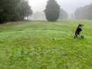 This is the first tee on the 18th hole.