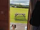 Bo loved her holiday:)