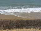 Dunwich