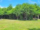 Camping area