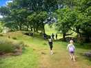 Local walk