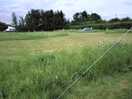 A picture of the site