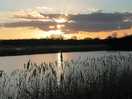 Sunset at avalon marshes on cycle trail. also saw spectacular murmuration