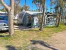 Pitches just enough room for our caravan and awning