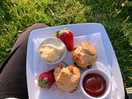 Yummy cream tea
