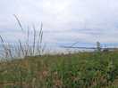 A short drive away at saundersfoot to eat our fish suppers then back to the calm of carn springs.
