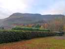 View from site
