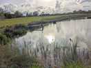 The lake.