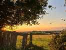 Absolutely beautiful in the evening!