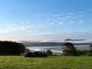 The view