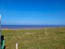 The view
