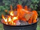 Orchard wild camping