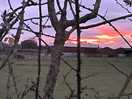 Sun sets
