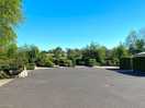 The site