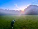 Early morning