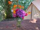 Beautiful flowers in the outdoor kitchen