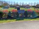 Glamping pods