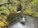 Ingleton trail