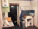 The kitchen