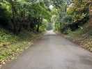 Lovely half hour walk tto east bridgford on tree lined footpath