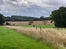 Very peaceful site