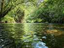Standing in the avon