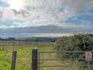 Views from the farm.