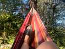 Hammock in wooded area