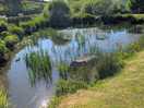 Pretty lake