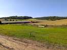 The farm and surrounding area