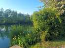 Peaceful lakes