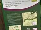 Forest trails nearby