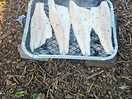 Brilliant weather for cooking outside