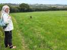 Dog walking field