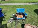 Enjoying the sunshine