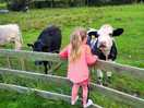 Saying hello to our neighbors