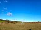 Landschap