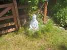 Budda